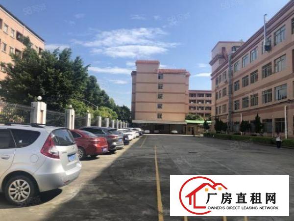  实图（原房东电费便宜）厚街花园式厂房楼上3300方格局好用