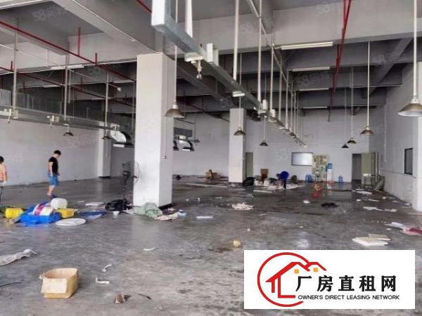  厚街新出10元700平办公室精装修水电齐全厂房出租仓库出租