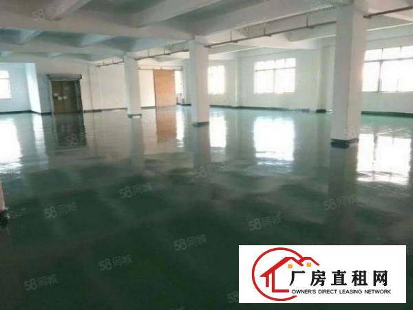 新出原房东直租独院标准厂房7800平方