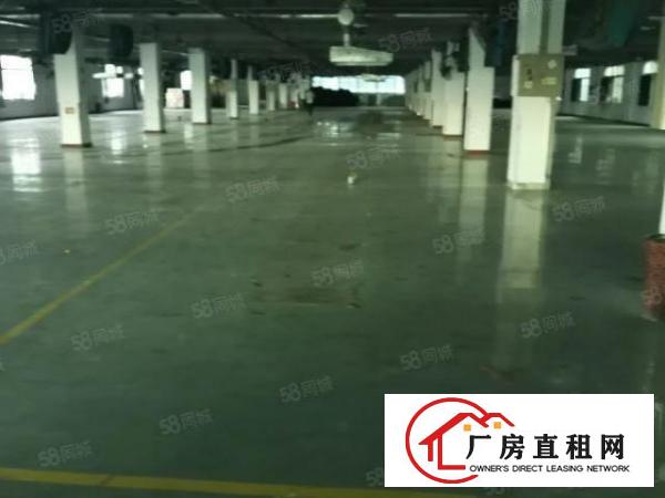  厚街镇尞夏村新出带鞋材环评花园式厂房
