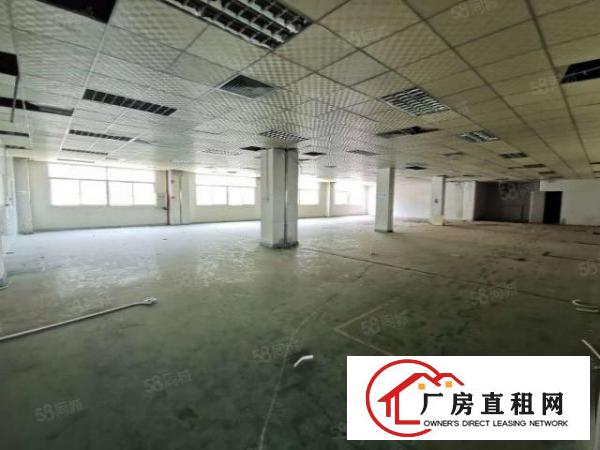  厚街涌口新出一楼厂房1800办公室装修水电到位1000起分