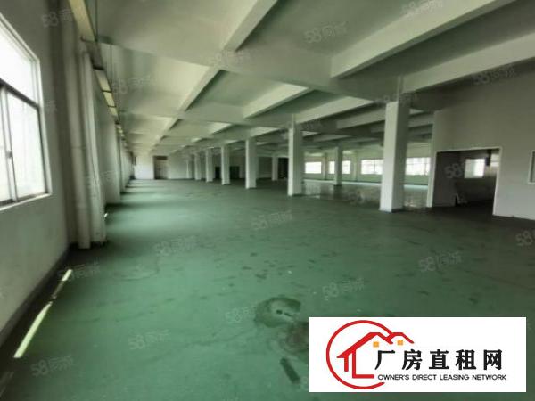  厚街涌口新出一楼厂房1800办公室装修水电到位1000起分