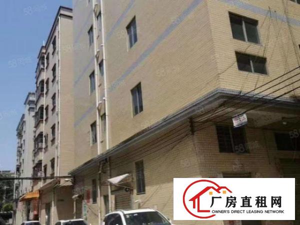  厚街白濠原房东厂房单层550平方带装修出租