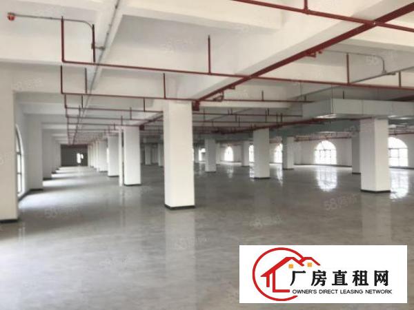  厚街下汴源房东厂房空出1F16F可分租整租，配置齐全