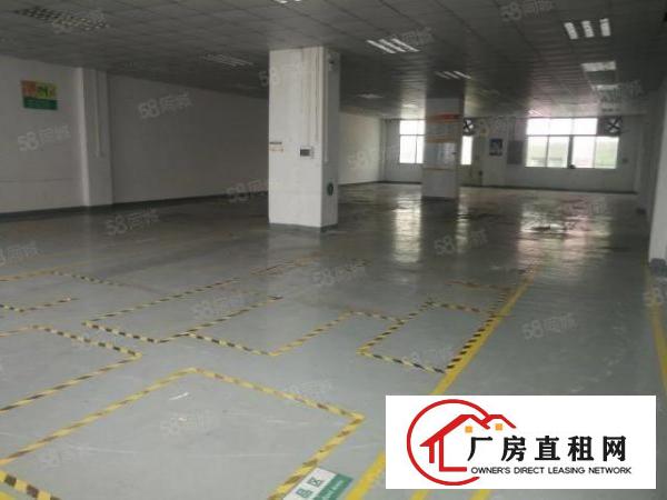  厚街镇寮廈村新出1至2层花园式标准厂房
