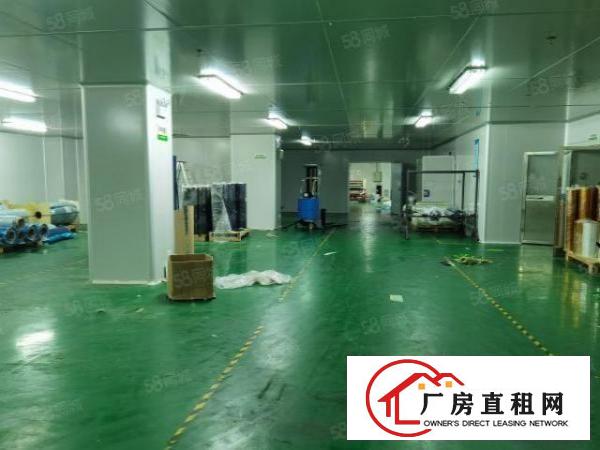  厚街沙塘新一楼无尘车间2000方水电齐全精装修！