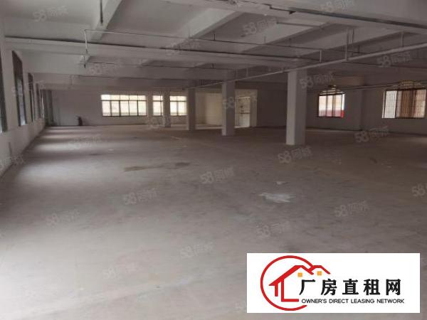  厂房招租出租一楼1100平米