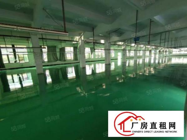  厚街高速出口新出上市公司形象一楼厂房