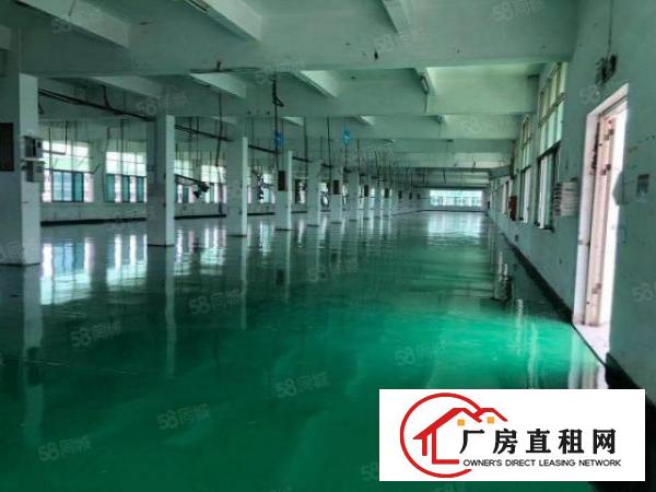  厚街高速出口新出上市公司形象一楼厂房