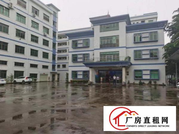  厚街新出楼上1850平吊顶地坪漆带办公室厂房出租