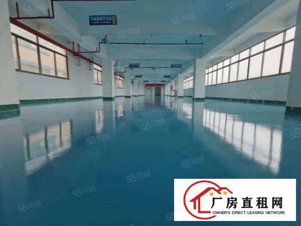  下汴村原房东厂房出租二楼2000平可分租可分租