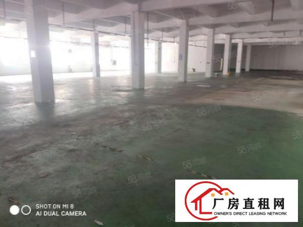  厚街刚刚空出2500平方精装修厂房出租工业园区楼高5米