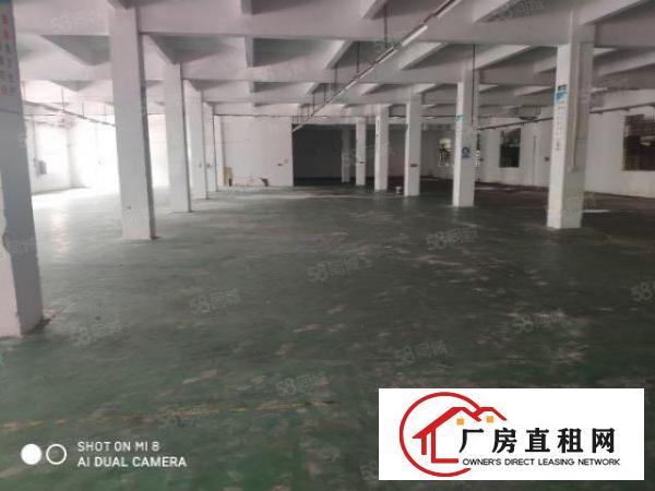  厚街刚刚空出2500平方精装修厂房出租工业园区楼高5米