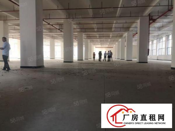  双岗全新厂房仓库3860方一层可分租，免租时间长