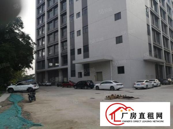  双岗全新厂房仓库3860方一层可分租，免租时间长