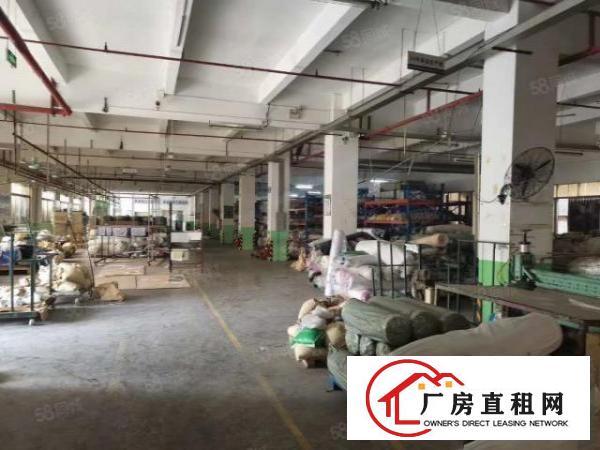  厚街新塘5米高精装修一楼1800方厂房仓库可分租