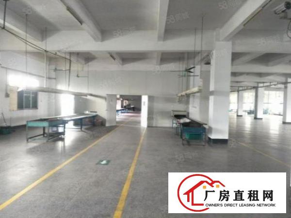  厚街新塘5米高精装修一楼1800方厂房仓库可分租