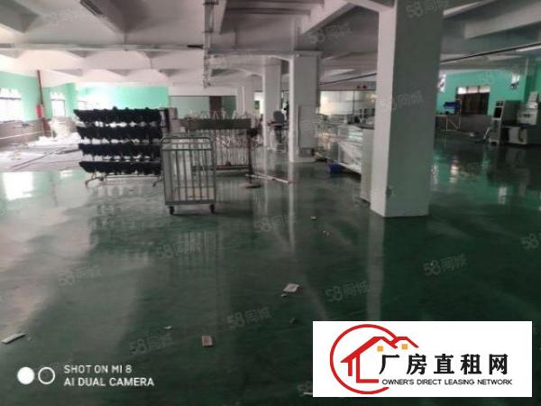  厚街新出原房东实际面积精装修1600平厂房出租仓库出租