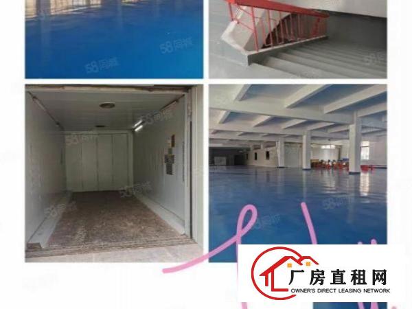  厚街新出独门独院2楼厂房仓库出租带装修低价出租