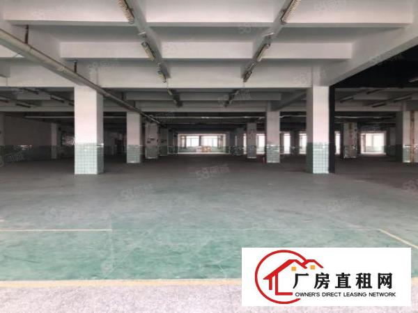  （实拍）厚街环岗原房东花园式厂房一二楼7000平方出租