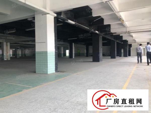  （实拍）厚街环岗原房东花园式厂房一二楼7000平方出租