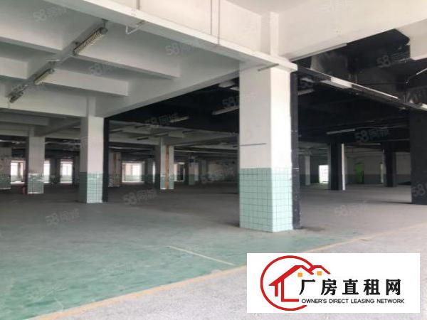  （实拍）厚街环岗原房东花园式厂房一二楼7000平方出租