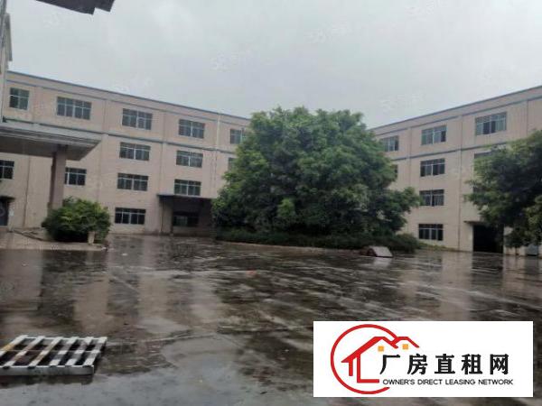  厚街新空出独门独院厂房大小可分租