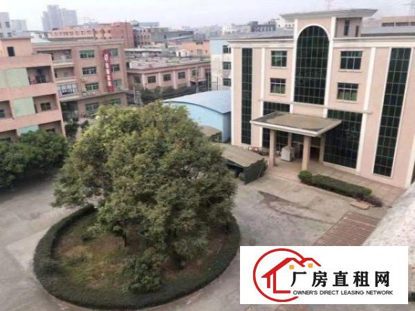  厚街新空出独门独院厂房大小可分租