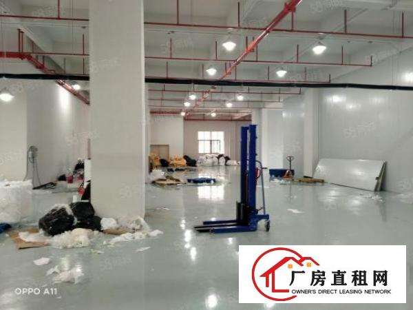  东莞厚街靠南城原房东独门独院有环评带办公室豪装带红本超大空地