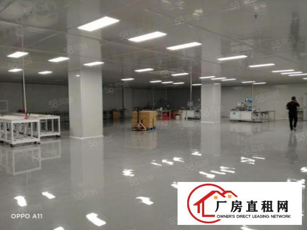  东莞厚街靠南城原房东独门独院有环评带办公室豪装带红本超大空地