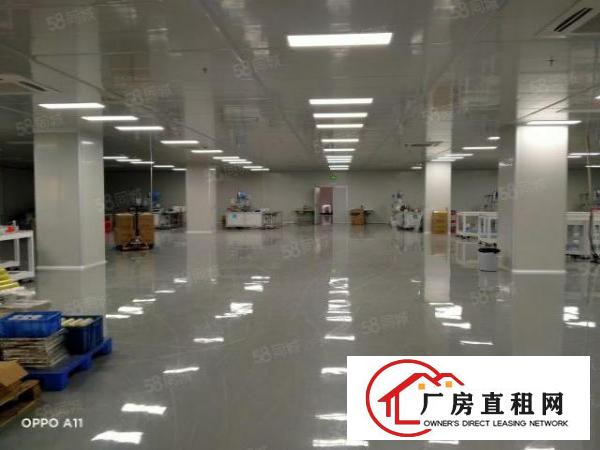  东莞厚街靠南城原房东独门独院有环评带办公室豪装带红本超大空地