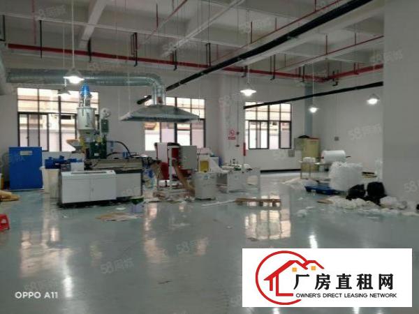  东莞厚街靠南城原房东独门独院有环评带办公室豪装带红本超大空地