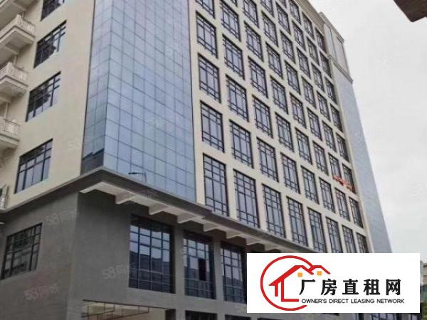  （全新厂房出租）10层厂房单层面积2000平方