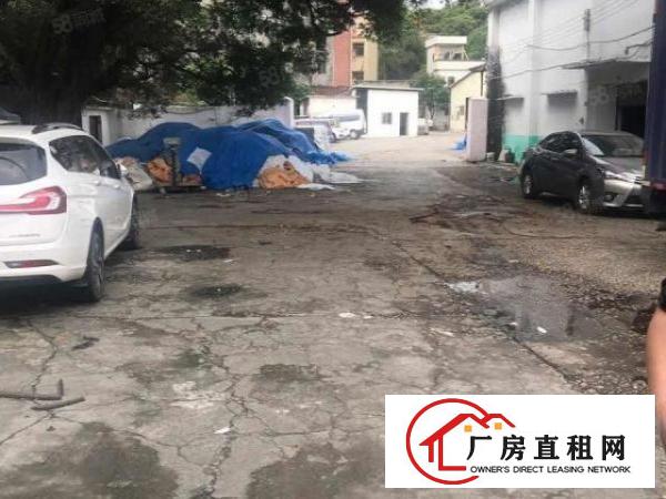  厚街双岗新出厂房1600平出租，价格优惠