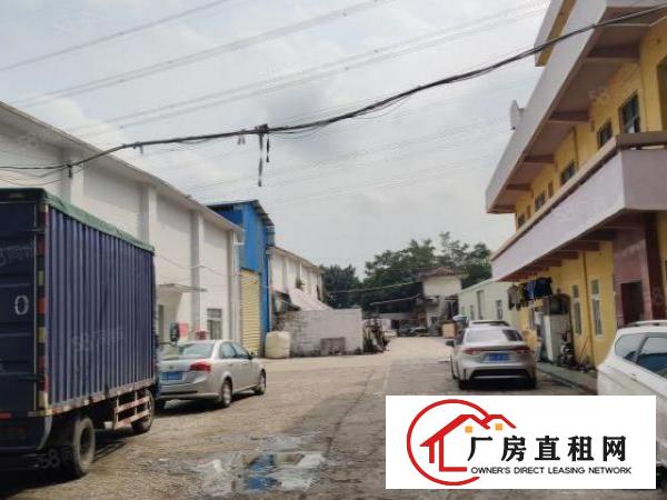  厚街双岗新出厂房1600平出租，价格优惠