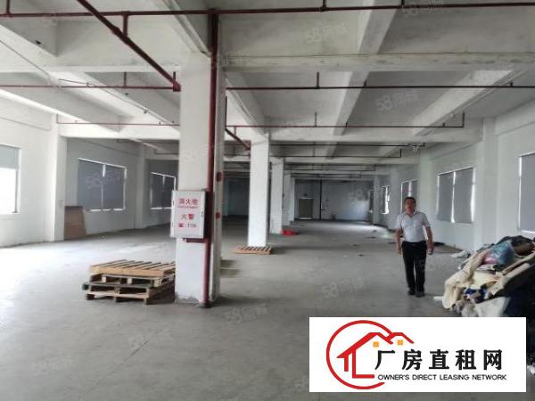  厚街高速路口原房东独栋厂房5000平方，实际面积，仅租15块