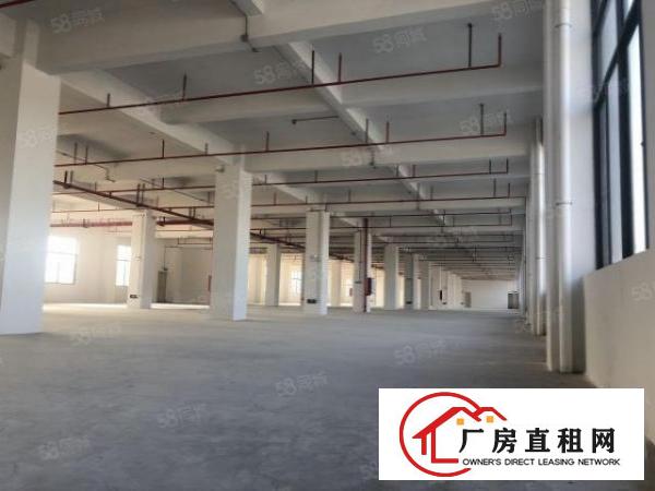  厚街环莞快速旁新出厂房900平，带有5T货梯，消防喷淋，易招