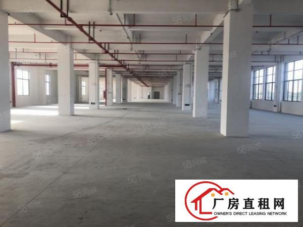  厚街环莞快速旁新出厂房900平，带有5T货梯，消防喷淋，易招