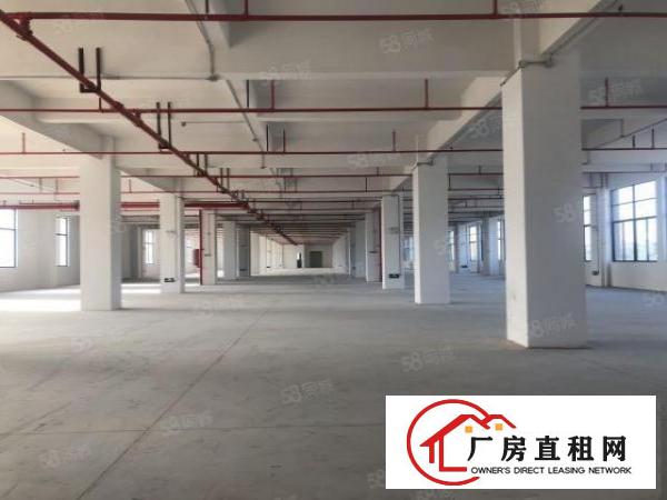  厚街环莞快速旁新出厂房900平，带有5T货梯，消防喷淋，易招