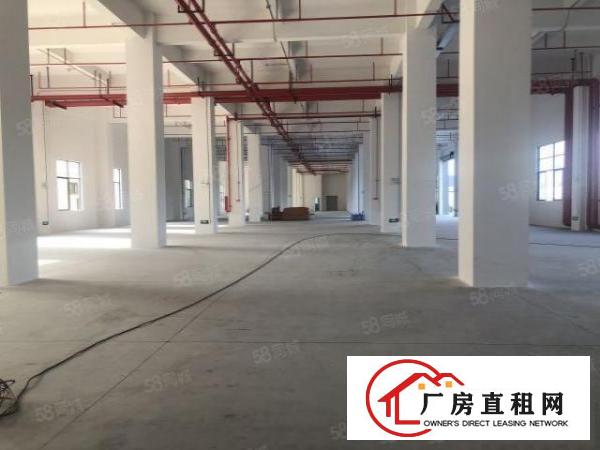  厚街环莞快速旁新出厂房900平，带有5T货梯，消防喷淋，易招