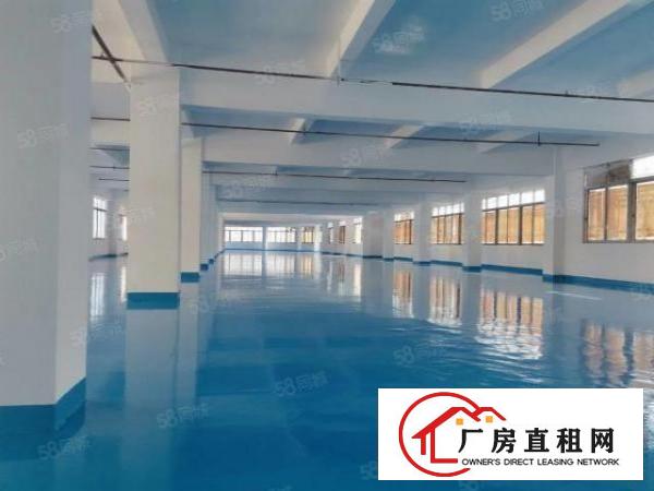  有房产证，港口大道边标准厂房6400招租，可分租
