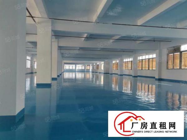  有房产证，港口大道边标准厂房6400招租，可分租
