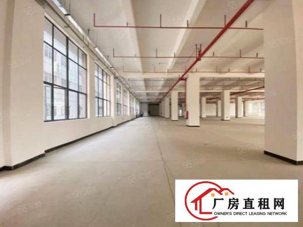  新出独门独院大小可分租外观形象水电齐全