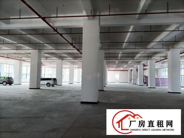 一楼二楼（现成环评）厂房出租