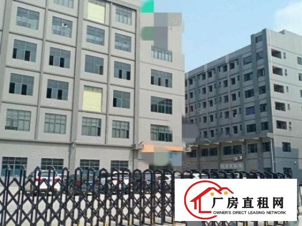  厚街刚空出500平方2楼精装修厂房出租仓库出租工业园里面