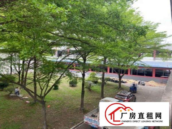  原房东独门独院5000平方大空地高绿化