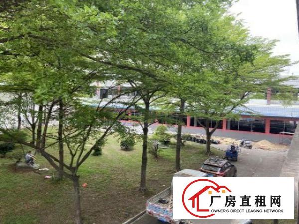  原房东独门独院5000平方大空地高绿化