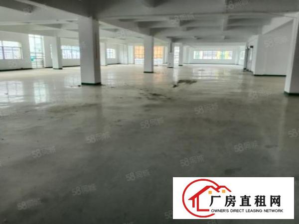  陈屋新出精装修厂房1000平价格优