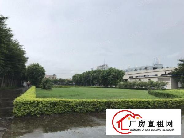  花园式独院厂房，形象高大上，上市公司形象