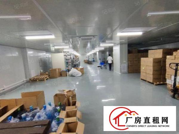  赤岭空出1200方带现成装修厂房，一手房东无转让费